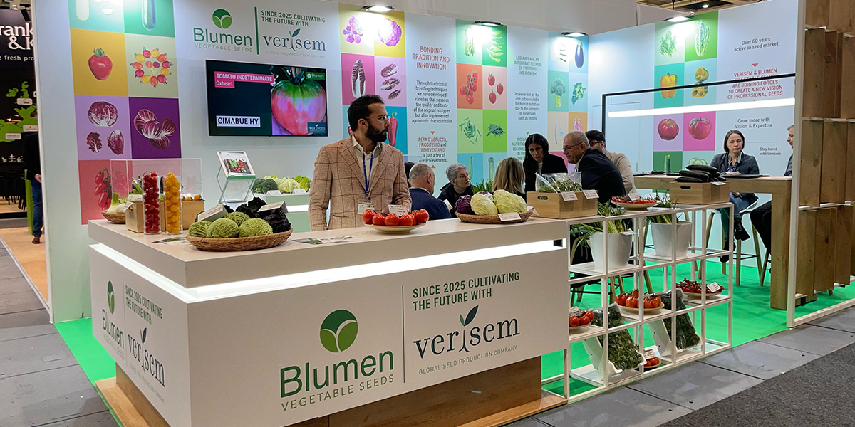 Blumen Vegetable Seeds cresce con Verisem